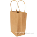 Kraft Paper Twist Handle Promotional Gift paper Bag